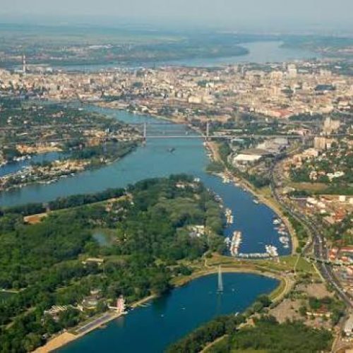 Belgrade, la capitale qui bourdonne : comment les abeilles ont conquis la ville ?