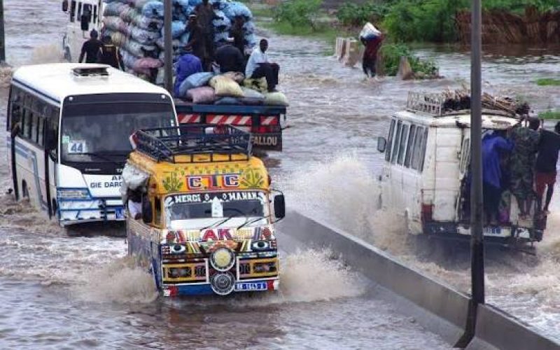 Pluies et orages attendus dans les prochaines 48 heures au Sénégal