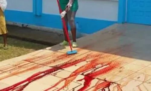 Lyon : une mère sénégalaise reconnaît avoir tué son fils polyhandicapé