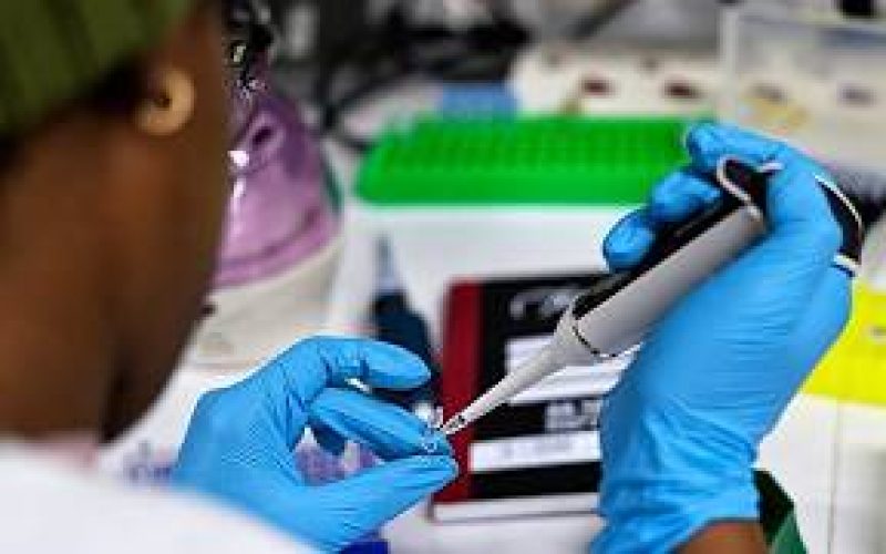 Santé publique : Lomé accueille la première conférence des biologistes médicaux ouest-africains