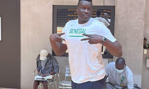 Basket : les Lions diminués avant le choc contre la Côte d’Ivoire
