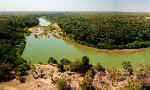 L’UNESCO Retire le Parc du Niokolo-Koba de la Liste du Patrimoine Mondial en Péril