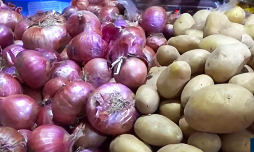 Tabaski 2024 : Oignons et pommes de terre abondants et abordables sur les marchés sénégalais