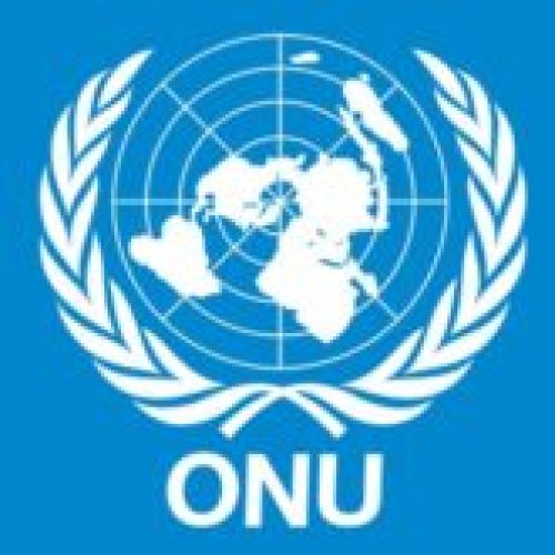 L’ONU en questions : entre structures et méthodes, quelle place pour l’Afrique ?