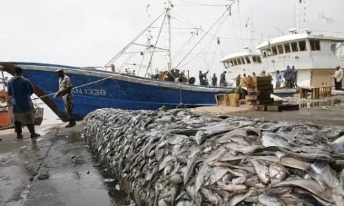 Pêche maritime : quatre licences attribuées à un armement sénégalais