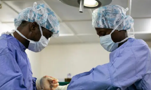 Transplantation rénale au Sénégal : Pr Ndoye : « Une greffe de rein coûte 13 millions de FCFA »