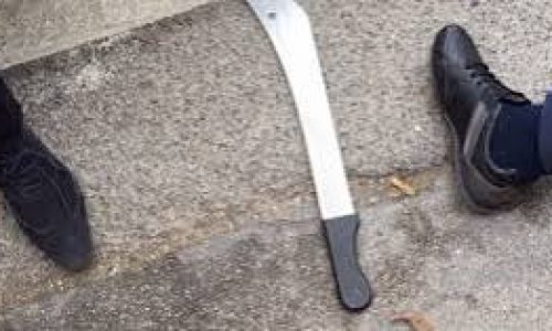 Thiargny : un jeune berger tué à coups de machette après une violente altercation