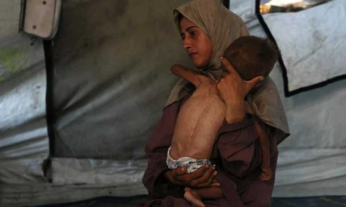 Gaza au bord de la famine : l’ONU tire la sonnette d’alarme