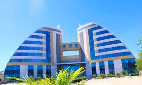 Tchad : fermeture de plusieurs ambassades pour raisons budgétaires et diplomatiques