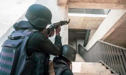Dakar : démantèlement d’un réseau de faussaires dirigé par un informel « détective »