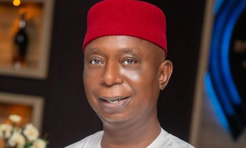 Ned Nwoko : « Je plains les hommes qui n’ont qu’une seule épouse »