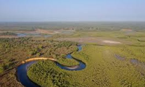 Casamance : le fleuve retrouve son rôle stratégique grâce à un projet fluvio-maritime ambitieux
