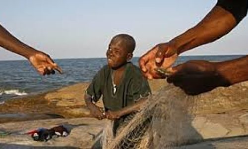 Au Malawi, la pêche est suspendue pour assurer la protection des poissons