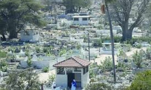 Cimetière des Abattoirs : des pratiques mystiques découvertes lors d’un désherbage citoyen
