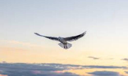 Le temps, cette force irréversible qui façonne nos vies