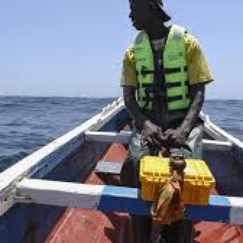 Pêche sénégalaise : l’explosion du prix du gasoil menace la rentabilité