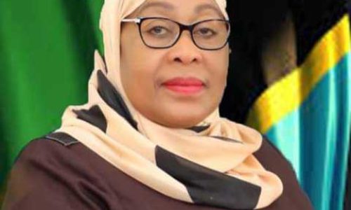 Tanzanie : Vives critiques contre Samia Suluhu Hassan après les restrictions d’Internet