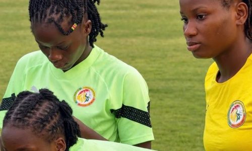 Éliminatoires JO 2028 : Alioune Abitalib Fall dévoile ses 22 Lionnes face à la Tunisie
