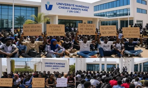 Université numérique : les étudiants dénoncent une injustice sur les bourses