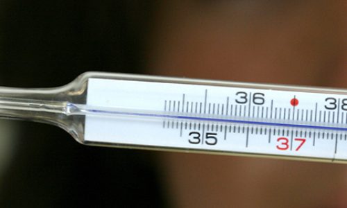 La Fièvre du Nil Occidental : Tout Ce Que Vous Devez Savoir